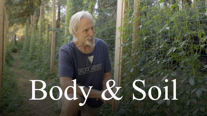 body&soil-cover