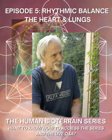 Rhythmic Balance _ The Heart & Lungs