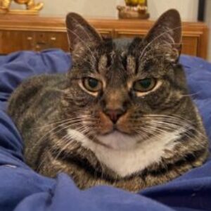 Profile photo of Elin