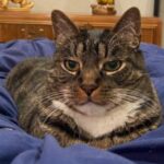 Profile photo of Elin