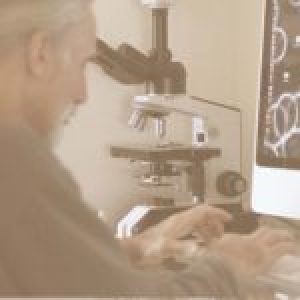 Profile photo of barre