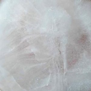 Profile photo of Svetlana