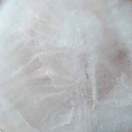 Profile photo of Svetlana