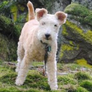 Profile photo of Andrea