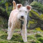 Profile photo of Andrea