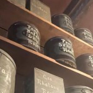 Profile photo of Allison