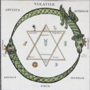 Group logo of Spagyrics