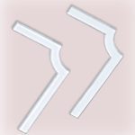 Group logo of BioGeometry Explorations