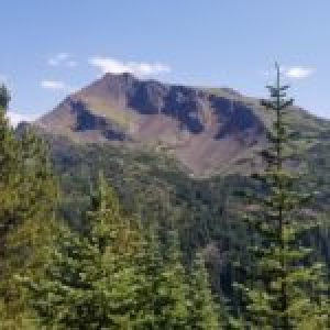 Group logo of This Beautiful Realm